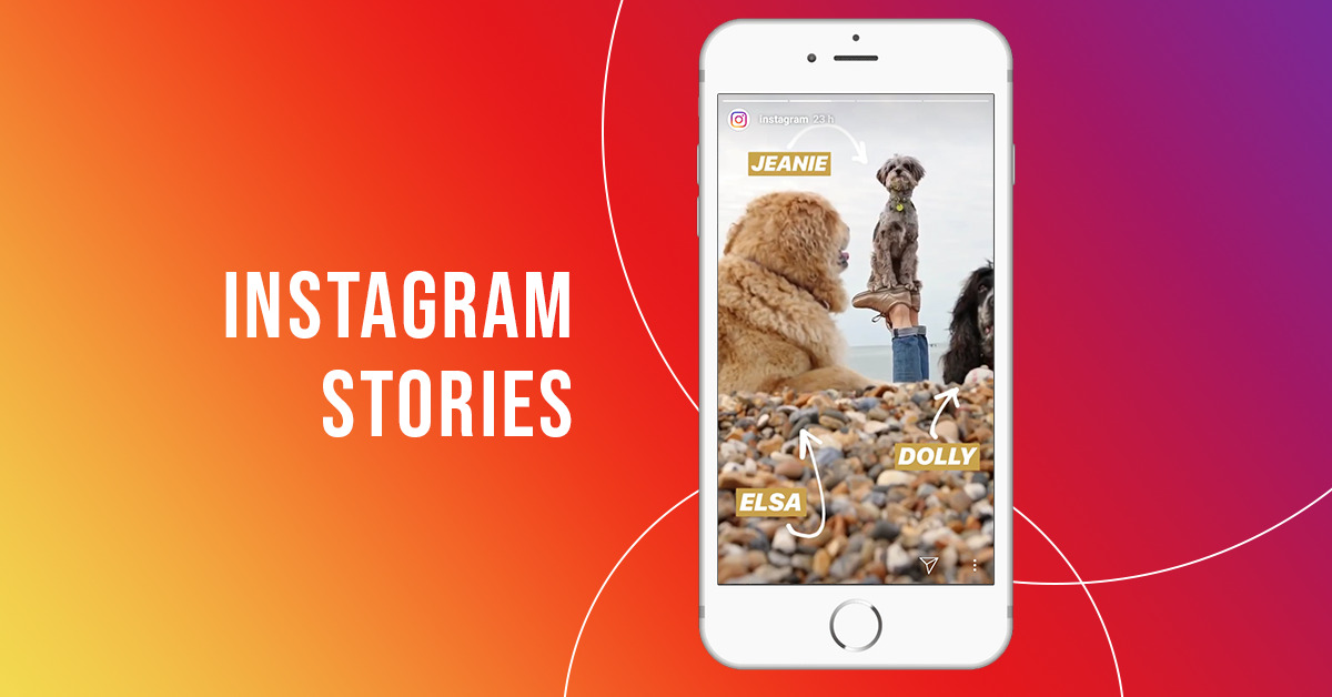 Postagem de animais fofinhos no Stories do Instagram.